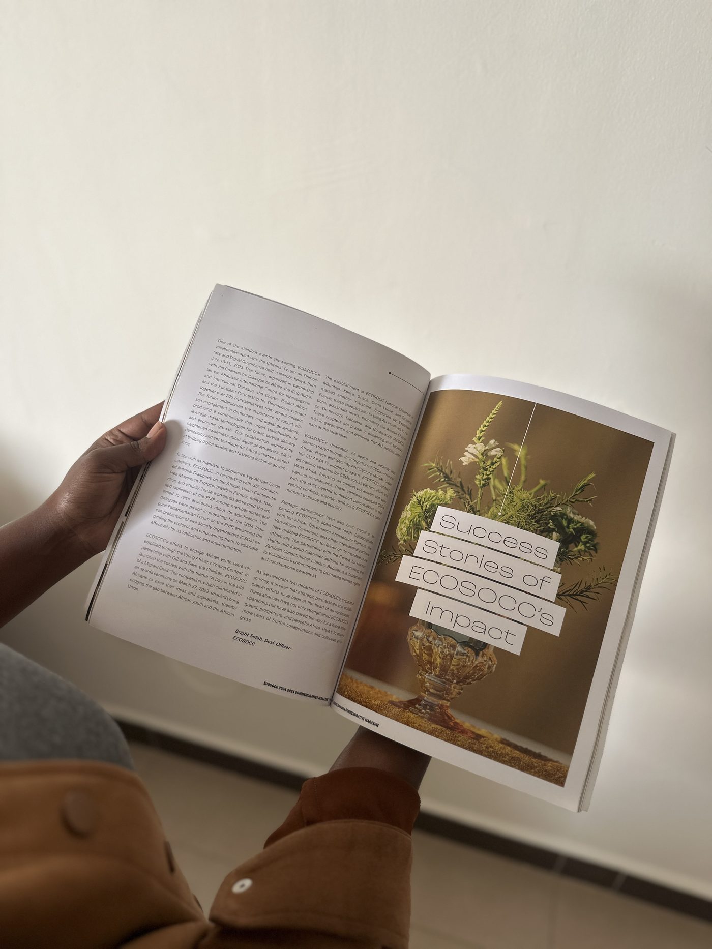 ECOSOCC Commemorative Magazine