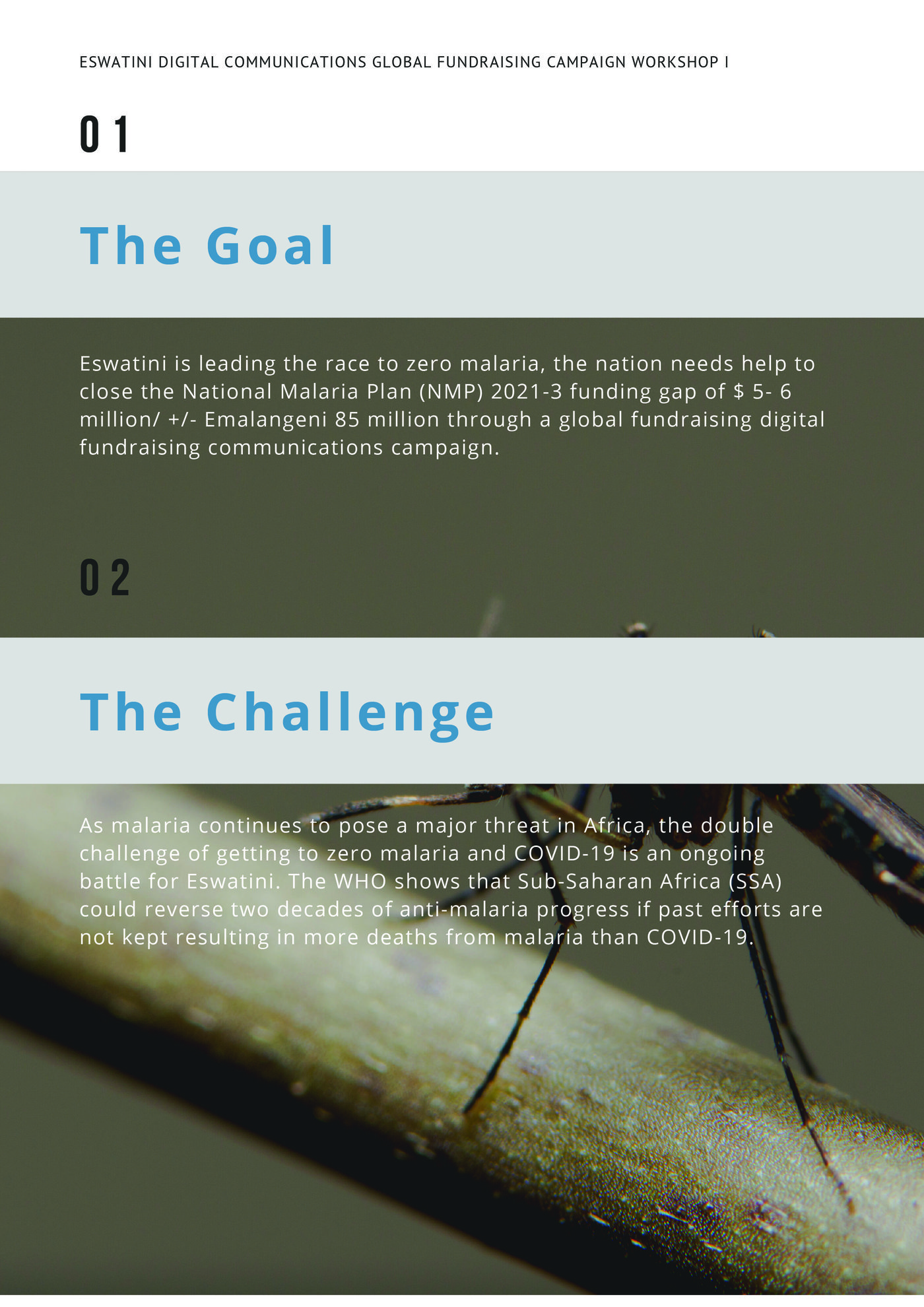 Eswatini End Malaria Fund