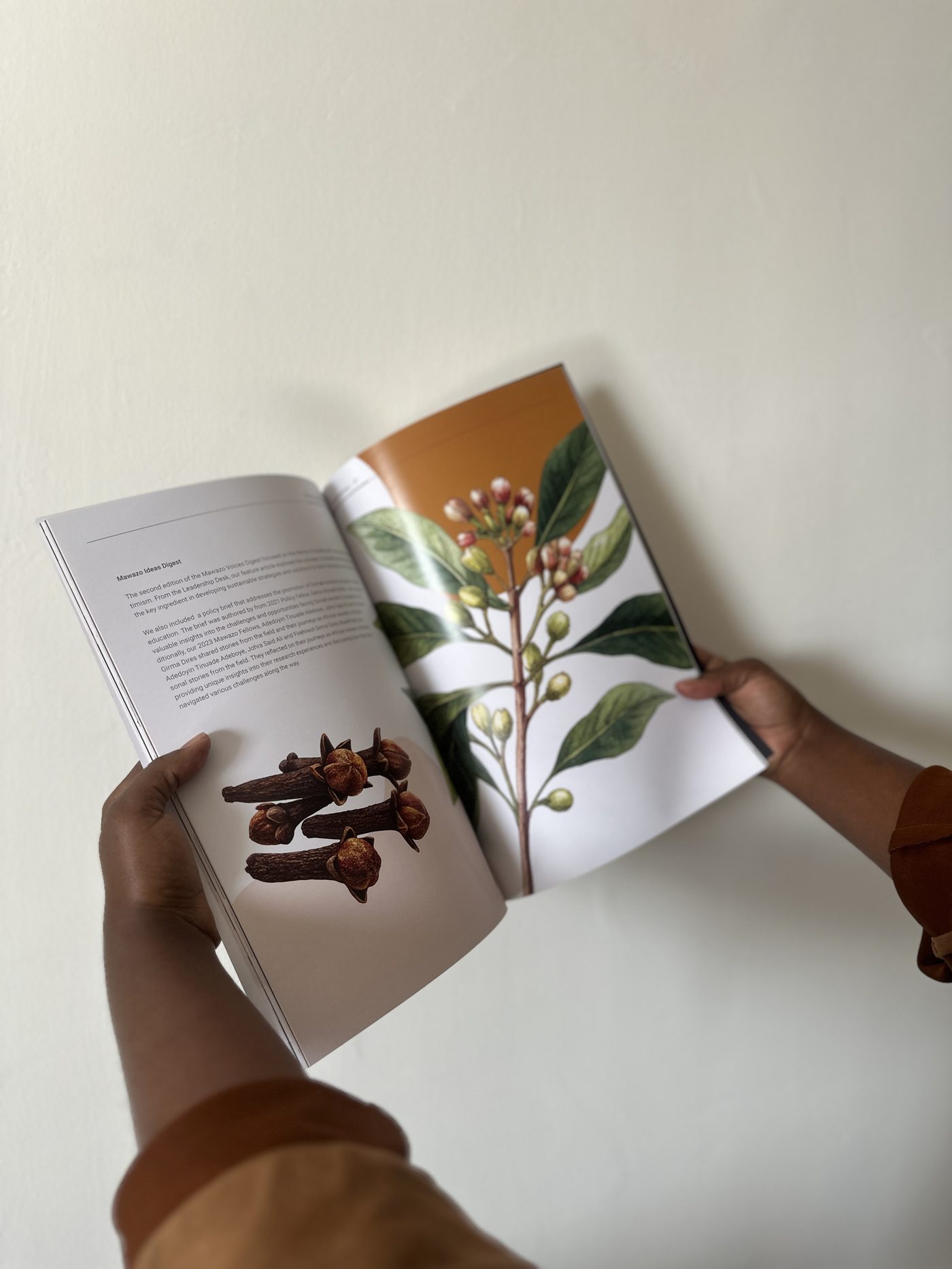 Mawazo Institute, 2024 Annual Report