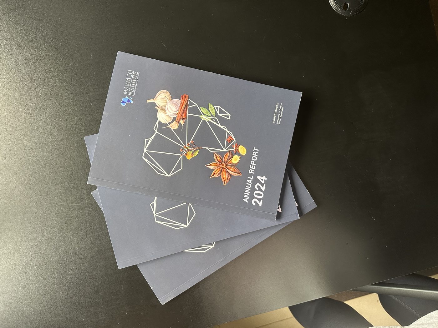 Mawazo Institute, 2024 Annual Report